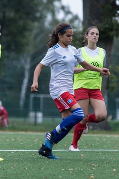 Bild 267 - C-Juniorinnen HSV - Walddoerfer : Ergebnis: 9:1